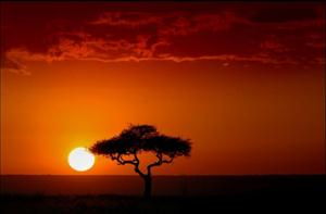 Natuur Afrika